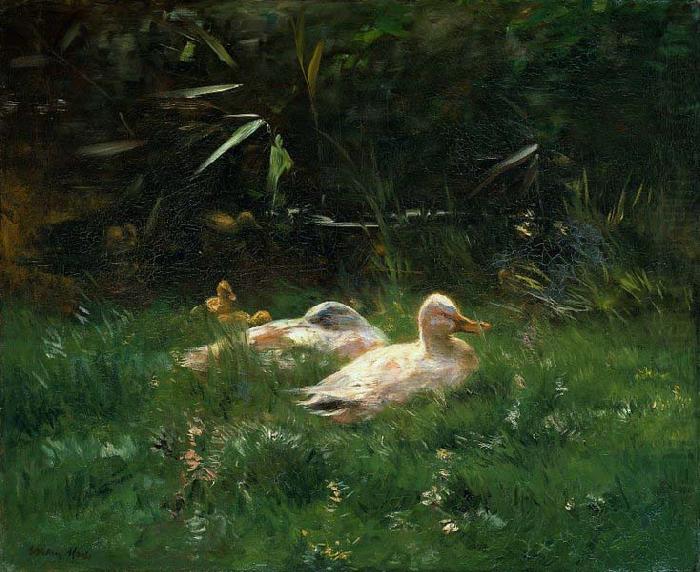 Willem Maris Ducks china oil painting image